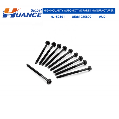 HCPX Manufacturing Auto Parts Engine Cylinder Head Bolt for AUDI 81025800